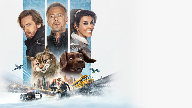 macka-a-pes:-blaznive-dobrodruzstvo