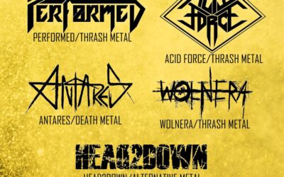 Cruentum Aures vol. 8 – metal party