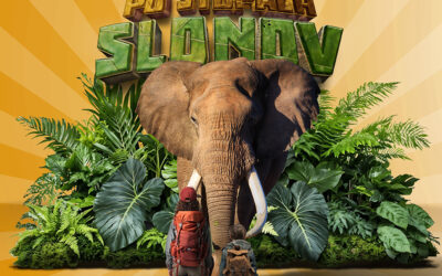 Interaktívna výstava PO STOPÁCH SLONOV v OC Korzo Prievidza