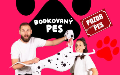 Bodkovaný pes