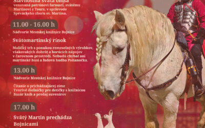 Svätomartinská nedeľa