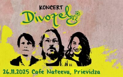Koncert DIVOZEL