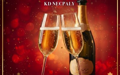 ŠTEFANSKÁ VESELICA 2025